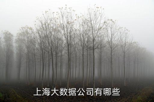 上海大數(shù)據(jù)公司有哪些