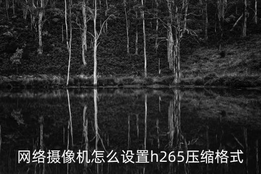 監控265怎么修改265壓縮格式，怎么轉換sv5格式監控錄像視頻
