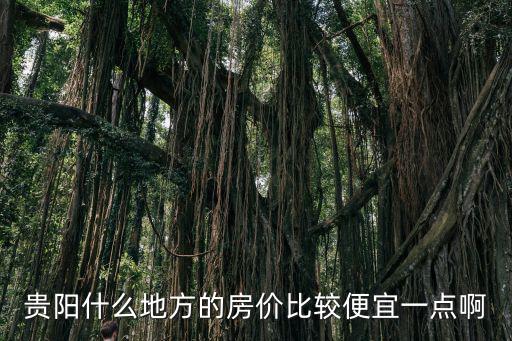 貴陽(yáng)什么地方的房?jī)r(jià)比較便宜一點(diǎn)啊