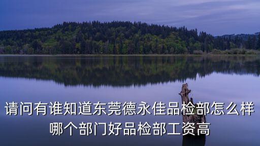 請(qǐng)問(wèn)有誰(shuí)知道東莞德永佳品檢部怎么樣哪個(gè)部門好品檢部工資高