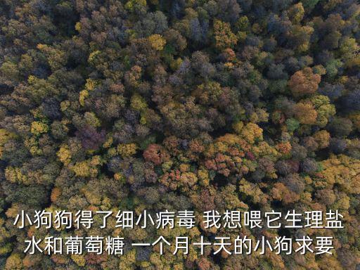 昆明犬一天喝多少鹽水，小狗狗得了細小病毒 我想喂它生理鹽水和葡萄糖 一個月十天的小狗求要
