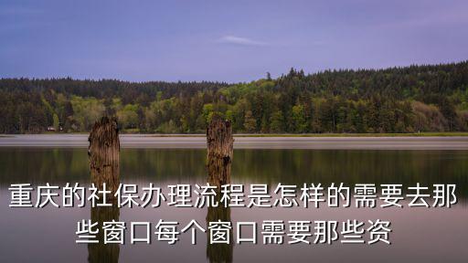 重慶市單位辦理社保增員流程，社保辦理流程開戶到繳費以及增減員流程