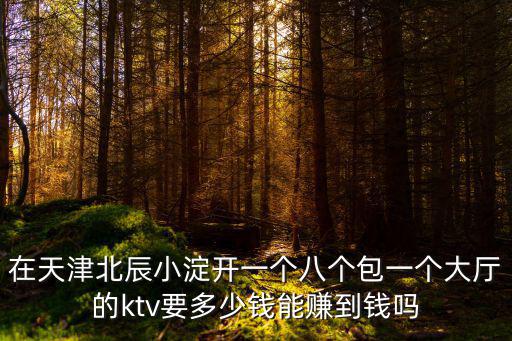 在天津北辰小淀開一個八個包一個大廳的ktv要多少錢能賺到錢嗎