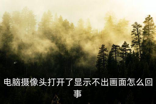 電腦攝像頭打開了顯示不出畫面怎么回事