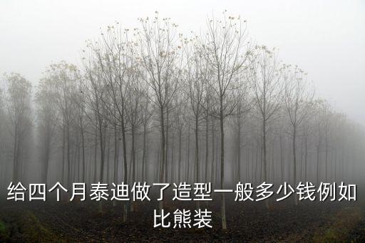 給四個月泰迪做了造型一般多少錢例如比熊裝