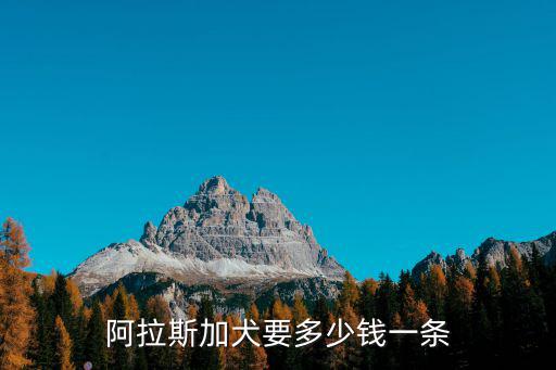 阿拉斯加犬要多少錢一條