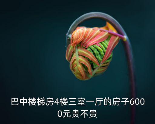 巴中樓梯房4樓三室一廳的房子6000元貴不貴