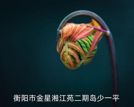 衡陽市金星湘江苑二期島少一平