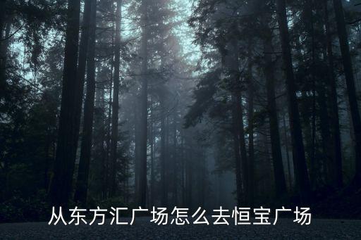 從東方匯廣場怎么去恒寶廣場