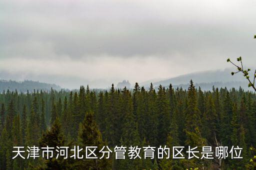 天津市河北區(qū)分管教育的區(qū)長是哪位