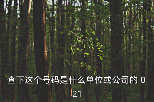 查下這個(gè)號(hào)碼是什么單位或公司的 021