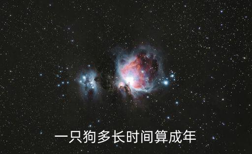 一只狗多長時間算成年