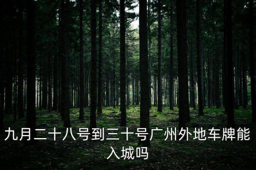 九月二十八號到三十號廣州外地車牌能入城嗎