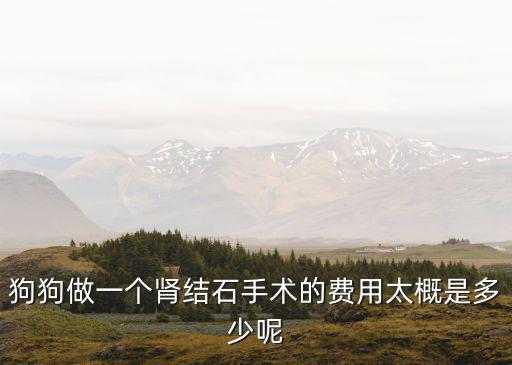 狗狗做一個腎結石手術的費用太概是多少呢