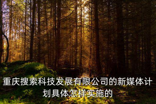 重慶市5G建設(shè)規(guī)劃綱要，重慶搜索科技發(fā)展有限公司的新媒體計(jì)劃具體怎樣實(shí)施的