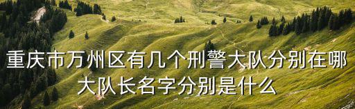 重慶市萬州區有幾個刑警大隊分別在哪大隊長名字分別是什么
