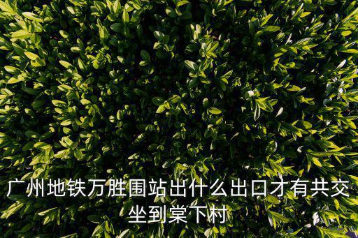 廣州地鐵萬勝圍站出什么出口才有共交坐到棠下村