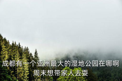 成都有一個亞洲最大的濕地公園在哪啊周末想帶家人去耍