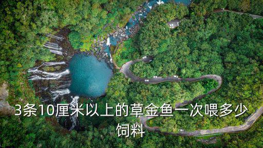 3條10厘米以上的草金魚一次喂多少飼料