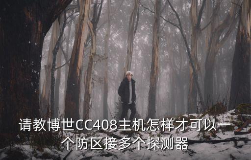 請教博世CC408主機怎樣才可以一個防區接多個探測器