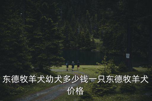 東德牧羊犬幼犬多少錢一只東德牧羊犬價格