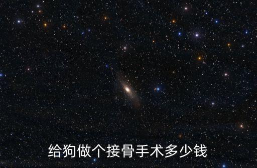 給狗做個接骨手術多少錢