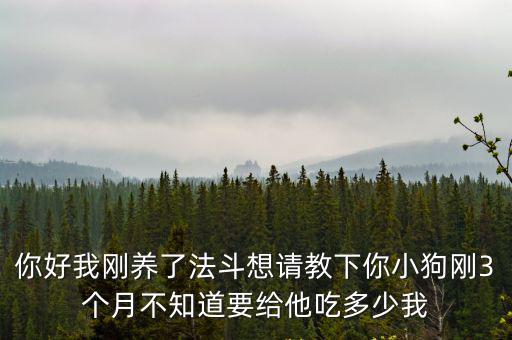 你好我剛養了法斗想請教下你小狗剛3個月不知道要給他吃多少我