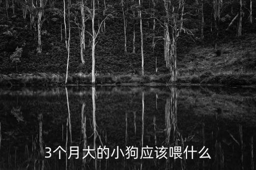 3個月大的小狗應該喂什么