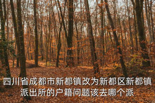 成都市鄉鎮派駐機構改革，成都市城鄉一體化推進到什么位置了大概什么時候能推進到新都區新