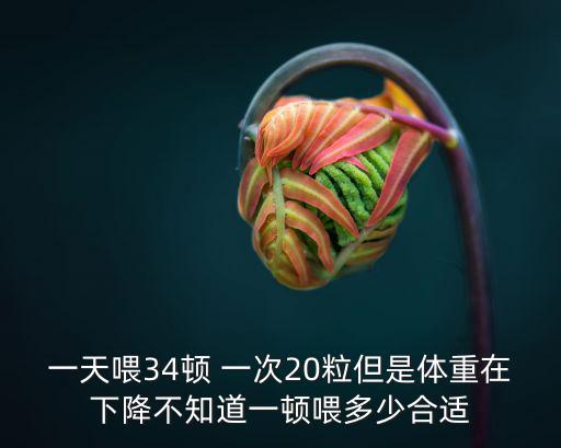 一天喂34頓 一次20粒但是體重在下降不知道一頓喂多少合適