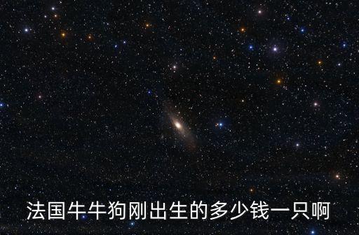 法牛幼犬一頓吃多少錢，法國牛牛狗剛出生的多少錢一只啊