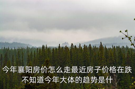 明年襄陽房價走勢如何，襄樊房價未來三年可能漲到多少一平米啊現在最貴的是多少啊  搜