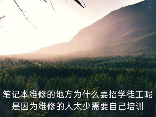 筆記本維修的地方為什么要招學徒工呢是因為維修的人太少需要自己培訓