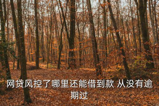 被風(fēng)控了也能通過(guò)審核的網(wǎng)貸，網(wǎng)貸風(fēng)控了還能下款的口了