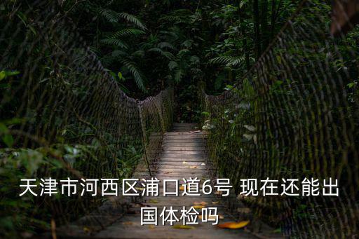 天津市河西區(qū)浦口道6號(hào) 現(xiàn)在還能出國(guó)體檢嗎