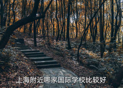 上海附近哪家國際學(xué)校比較好