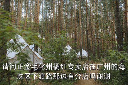 請問正金毛化州橘紅專賣店在廣州的海珠區下渡路那邊有分店嗎謝謝