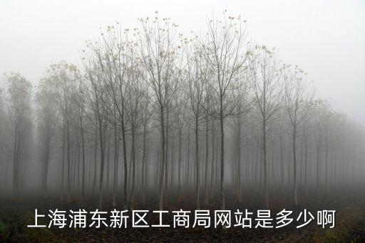 上海工商網上辦事大廳，上海浦東新區工商局網站是多少啊