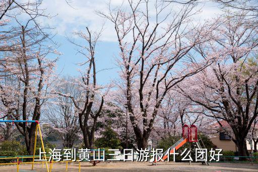 上海出發(fā)三日游跟團(tuán)，上海到杭州蘇州周莊三日游怎么樣有跟團(tuán)去玩過(guò)的沒(méi)有啊