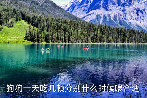 狗狗一天吃幾頓分別什么時候喂合適