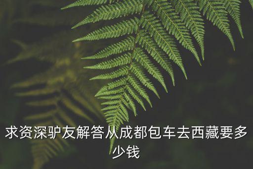 求資深驢友解答從成都包車去西藏要多少錢