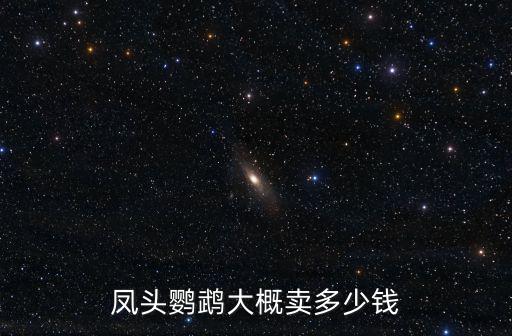 鳳頭鸚鵡大概賣多少錢