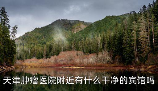 天津腫瘤醫院附近有什么干凈的賓館嗎