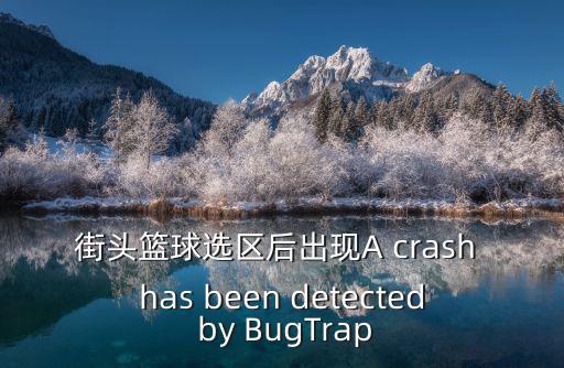 街頭籃球選區(qū)后出現(xiàn)A crash has been detected by BugTrap