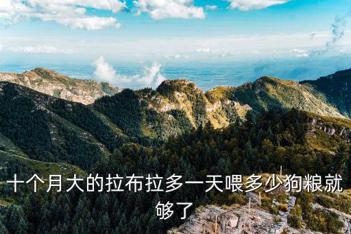 十個(gè)月大的拉布拉多一天喂多少狗糧就夠了