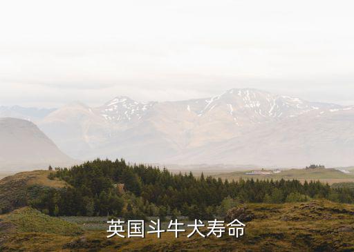 英國斗牛犬能活多少年，英國斗牛犬壽命