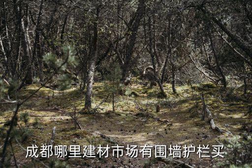 成都哪里建材市場有圍墻護欄買