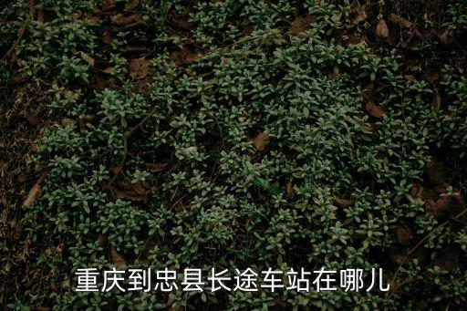 重慶到忠縣長途車站在哪兒
