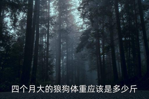 四個月惡霸犬體重多少，四個月大的狼狗體重應該是多少斤