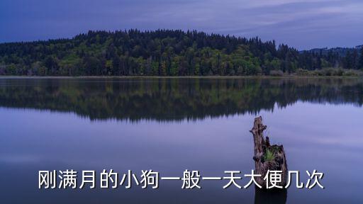 小奶狗一次拉多少，小狗剛出生每天大便幾次正常